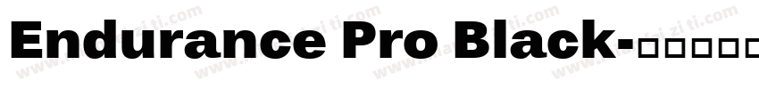 Endurance Pro Black字体转换